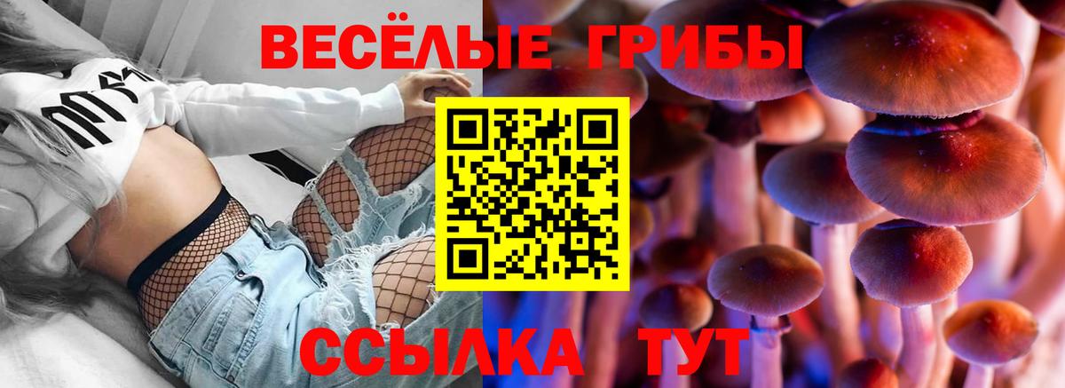 Галлюциногенные грибы Magic Shrooms Зеленокумск